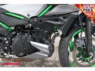 Kawasaki  Z500 SE ABS LED picture 10