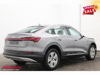 Audi E-tron 55 quattro Advanced 95 kWh MirrorCam LED ACC Leder Camera SHZ picture 3