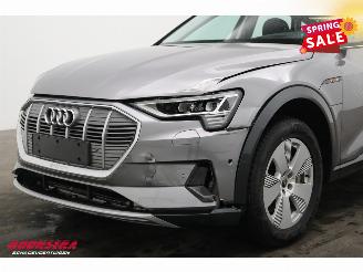 Audi E-tron 55 quattro Advanced 95 kWh MirrorCam LED ACC Leder Camera SHZ picture 10
