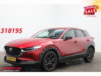 Avarii autoturisme Mazda CX-30 2.0 e-SkyActiv-X M Hybrid Homura Aut. Navi Clima Cruise Camera SHZ 2023/1