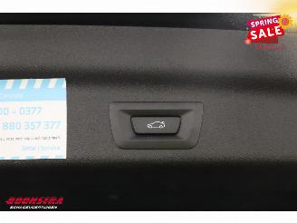 BMW iX1 eDrive20 67 kWh LED Virtual Apple/Android Camera SHZ picture 32