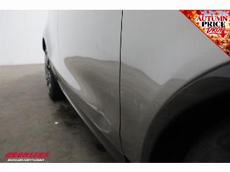 Land Rover Discovery 5 3.0 D300 Dynamic SE 7p. Pano LED ACC Meridian Memory SHZ AHK picture 7
