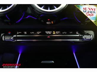 Mercedes EQB 250 Luxury Line 67 kWh Leder Navi Clima Cruise Camera SHZ picture 26
