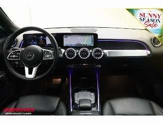 Mercedes EQB 250 Luxury Line 67 kWh Leder Navi Clima Cruise Camera SHZ picture 12