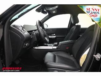 Mercedes EQB 250 Luxury Line 67 kWh Leder Navi Clima Cruise Camera SHZ picture 14