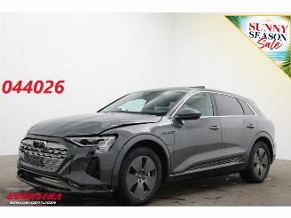 Vaurioauto  passenger cars Audi Q8 55 quattro Advanced 115 kWh Pano LED ACC HUD 360° Ventilatie LRHZ 2023/12