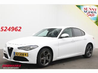 Avarii autoturisme Alfa Romeo Giulia 2.2 Eco Business Super Leder BiXenon Navi Clima Cruise Camera 2017/1