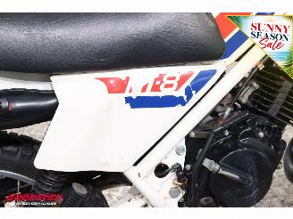 Honda  MT8 1981 picture 9