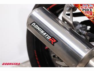Honda  CBR 600F Dominator picture 14