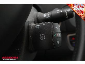 Renault Grand-scenic 1.2 TCe 7-Pers. Navi Clima Cruise PDC AHK picture 15