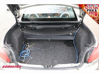 Peugeot 206 CC 1.6-16V Roland Garros Hardtop Clima Leder picture 20