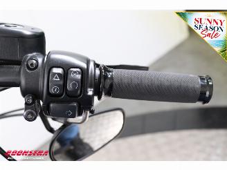 Harley-Davidson Sportster Iron 1200 ABS LED Kesstech 7.642 km! picture 16