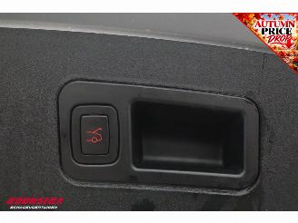 Tesla Model S 100D Pano Schuif/kantel Clima Navi Memory Leder SHZ LrHZ Cruise Camera PDC picture 25