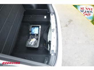 Kia Niro DynamicLine 64.8 kWh ACC Navi Apple/Android Clima Camera PDC AHK picture 8
