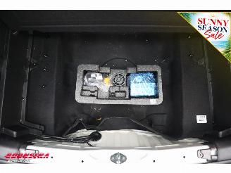 Kia Niro DynamicLine 64.8 kWh ACC Navi Apple/Android Clima Camera PDC AHK picture 9