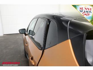 Renault Captur 1.2 TCe Intens Cruise Mmeory Navi Clima Camera PDC picture 9