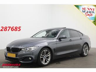  BMW 4-serie Gran Coupé 420d Aut. Sport-Line BiXenon Leder Navi Clima Cruise Camera PDC 2015/10