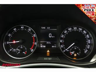 Skoda Fabia 1.0 TSI Drive Navi Clima Cruise PDC 80.188 km! picture 20