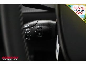 Peugeot e-208 EV Active Pack 50 kWh Apple/Android Navi Clima Cruise PDC picture 29