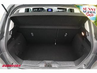 Ford Fiesta 1.0 EcoBoost Titanium Apple/Android ACC Navi Clima Camera PDC picture 27