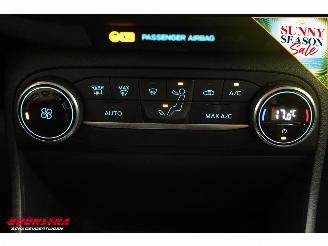 Ford Fiesta 1.0 EcoBoost Titanium Apple/Android ACC Navi Clima Camera PDC picture 24