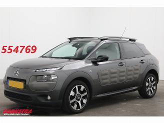 Voiture accidenté Citroën C4 cactus 1.2 PureTech Cruise Navi Clima Mulicity Connect Camera PDC 2018/3