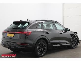 Audi Q8 50 quattro Advanced 95 kWh B&O Pano ACC Leder Memory SHZ Apple/Android Virtual Camera PDC picture 3