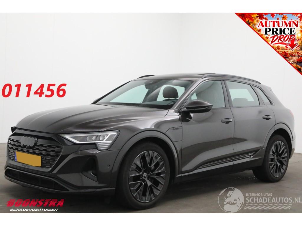 Audi Q8 50 quattro Advanced 95 kWh B&O Pano ACC Leder Memory SHZ Apple/Android Virtual Camera PDC
