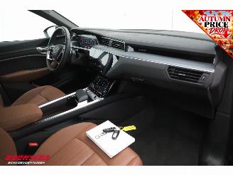 Audi Q8 50 quattro Advanced 95 kWh B&O Pano ACC Leder Memory SHZ Apple/Android Virtual Camera PDC picture 15