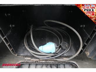 Aixam  E-Worker Mega Kipper picture 20