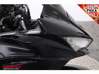 Kawasaki Ninja 650 ABS Arrow picture 13