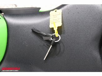 Kawasaki  Ninja ZX-4RR ABS Akrapovic 2.984 km! picture 30