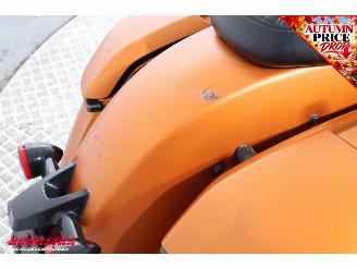 Indian  Challenger Dark Horse Navi Bluetooth Cruise TAB Exhaust picture 18