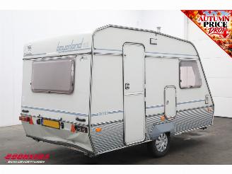 Beyerland  Vitesse 350 DD picture 3