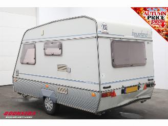 Beyerland  Vitesse 350 DD picture 4