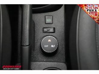 Renault Captur 1.2 TCe Aut. Edition One Cruise Navi Clima SHZ Leder Apple/Android Camera PDC picture 26