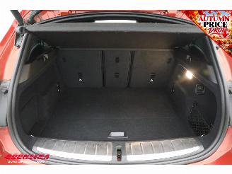 BMW X2 sDrive20i Aut. High Executive H/K ACC Navi Clima Leder Memory Apple/Android Camera PDC picture 24