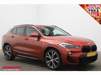 BMW X2 sDrive20i Aut. High Executive H/K ACC Navi Clima Leder Memory Apple/Android Camera PDC picture 2
