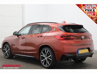 BMW X2 sDrive20i Aut. High Executive H/K ACC Navi Clima Leder Memory Apple/Android Camera PDC picture 4