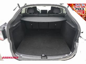 Tesla Model Y RWD 58 kWh ACC Navi Clima Leder Memory SHZ LrHZ Camera PDC picture 35