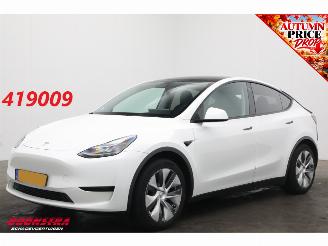 skadebil auto Tesla Model Y RWD 58 kWh ACC Navi Clima Leder Memory SHZ LrHZ Camera PDC 2024/4
