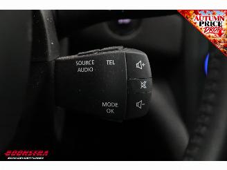 Renault Mégane Estate 1.3 TCe Limited Cruise Navi Clima Bluetooth PDC AHK picture 21