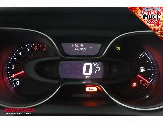 Renault Captur 1.2 TCe Aut. Intens Cruise Navi Clima Bluetooth Camera PDC picture 20