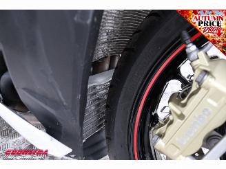 BMW S 1000 R HP ABS Akrapovic Cruise Heizgriffe 18.813 km! picture 18