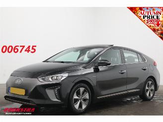 krockskadad bil auto Hyundai Ioniq Premium EV Camera Infinity Pano Memory Audio Clima LED Navi 2017/3