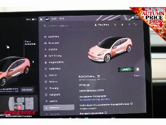 Tesla Model 3 Standard Plus RWD Fahrbar Pano ACC Leder Camera SHZ picture 16