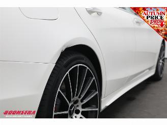 Mercedes S-klasse 350 BlueTEC AMG Pano LED ACC Burmester Ventilatie Camera picture 5