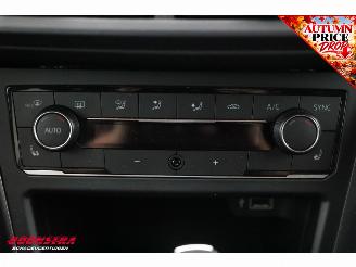 Volkswagen Polo 2.0 TSI GTI DSG Virtual ACC SHZ LED Apple/Android picture 18