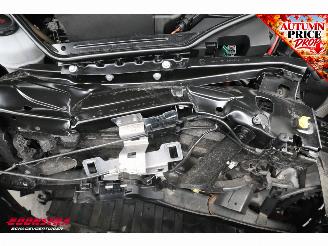 Skoda Enyaq 80 First Ed. Memory Leder ACC LrHZ Camera Matrix SHZ Navi Clima picture 10