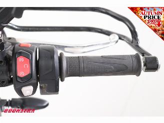 Triumph Tiger 900 Rally ABS LED Cruise Heizgriffe picture 18